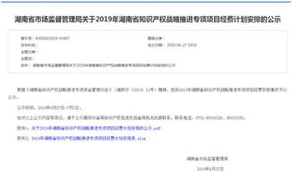 省知識產權戰略實施專項項目花落祁陽職中，助推知識產權服務升級